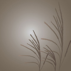 Obraz premium Brown or neutral colored grass blowing in the wind vector illustration