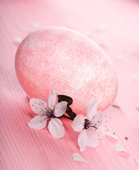 Studio shot of easter eggs