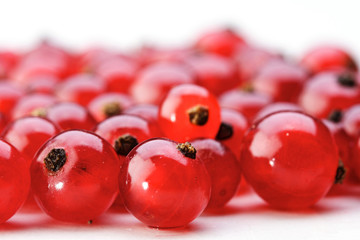 Studio shot of redcurrats on white background