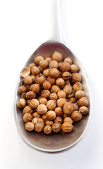 Mustard seeds on a spoon