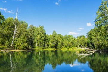 Beautiful summer landscape with lake