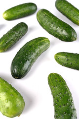 Studio shot of cucumber on white background