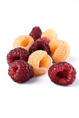 Studio shot of red and yellow raspberries