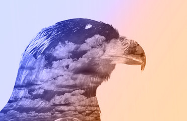 Double exposure eagle