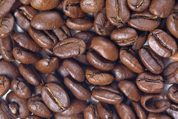 Coffee grains - close up