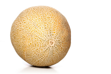 Studio shot of melons on white background