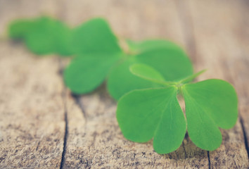 Clover leaves