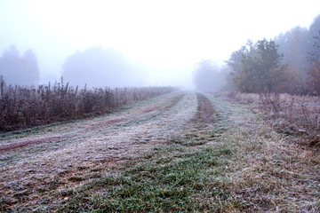 View of road on meadow