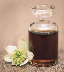 Nigella flower and essential oil