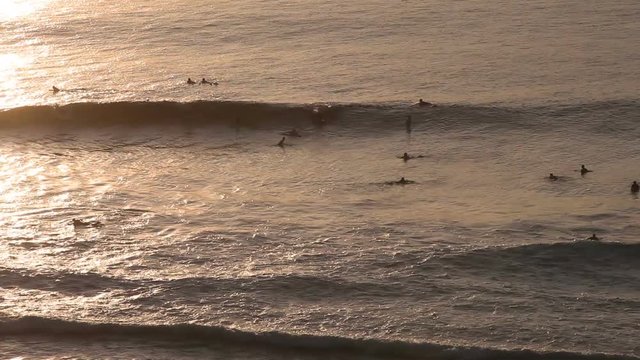 Surfers on the waves in the evening at sunset with a bird's flight in the Indian ocean, Bali Indonesia