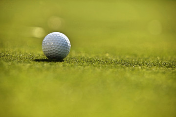 Golf ball on grass