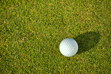 Elevated view of golf ball on grass