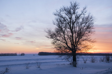Sunset in the winter .