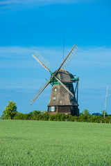 Fototapeta premium Farver Mühle bei Wangels