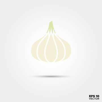 garlic vegetable vector icon