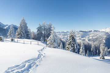 Fototapeta na wymiar Schneespur in den Alpen