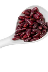 Red bean isolated on white background