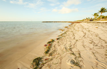 Smathers Beach at Sunrise, Key West, Florida. Smathers Beach is the largest public beach in Key West, Florida, United States. It is approximately a half mile long