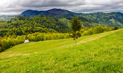 Fototapeta na wymiar agricultural field in mountains