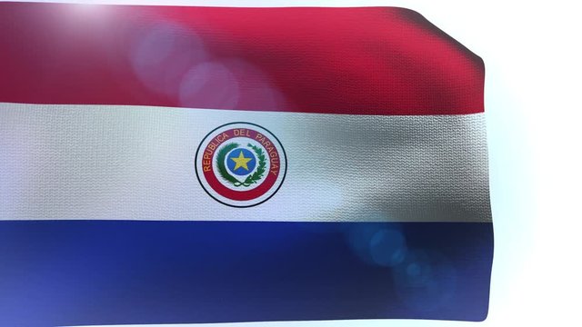 Paraguay flag blowing in the wind waving