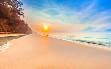 beautiful sunrise on the tropical beach with a little waves and row of pine tree in relaxing time