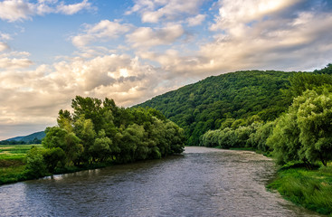 Fototapeta premium River among the forest in picturesque Carpathian mountains in summer