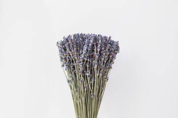 Bunch of dried lavender on white background
- 140658006
