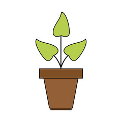 potted plant icon image vector illustration design 