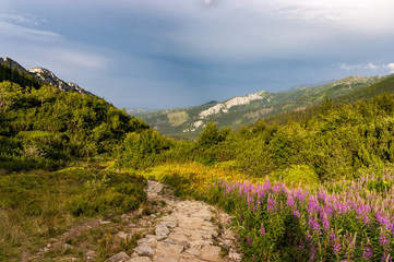 Mountain landscape after the storm in the Western Tatras.