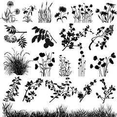 Plants desing elements
