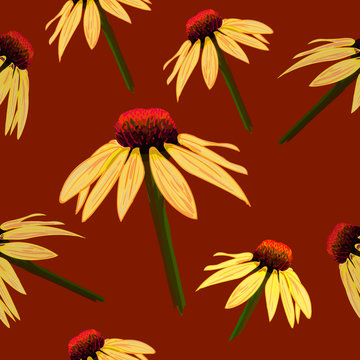 Seamless VECTOR pattern: flowers on brown, echinacea sketch.