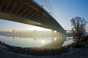 Misty sunrise on a river bank under cable bridge, Belgrade, Serbia