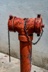 Red Fire hydrant