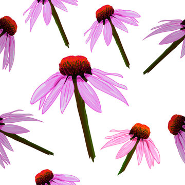 Seamless VECTOR pattern: yellow flowers on white, echinacea.