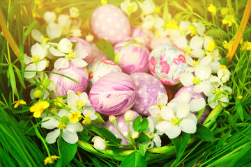 basket with Easter eggs on a background of green grass and delicate spring flowers branch of apple blossoms.

