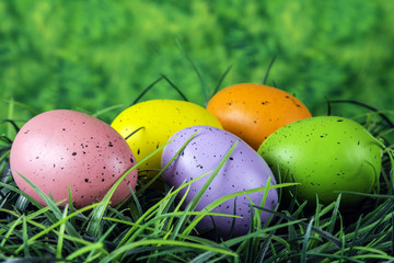 colored Easter eggs in green grass with green background
