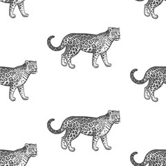 Seamless pattern with Jaguar. © marinavorona