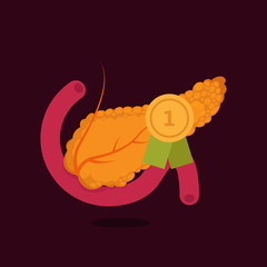 Pancreas vector illustration