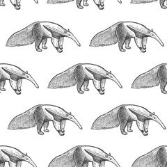 Seamless pattern with anteater.