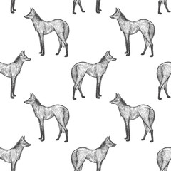 Seamless pattern with Maned Wolf.