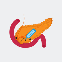 Pancreas vector illustration