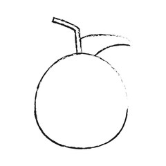 whole apple icon image vector illustration design 