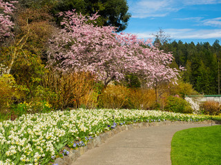 Obraz premium Paved walkway in the spring garden