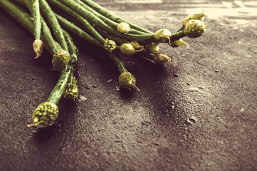 Onion leaves on black chalkboard surface with water drops