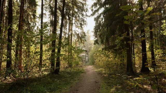 Walkway to abandoned kids camp in the forest. Autumn daytime. Smooth dolly shot