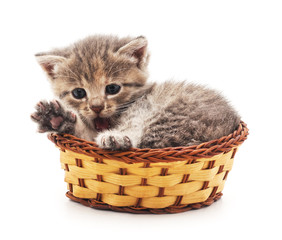 Fototapeta na wymiar Little kitten in a basket.
