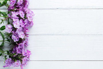 frame of flowers, background white boards