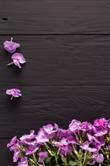 Naklejka na ściany i meble frame of flowers, background black boards