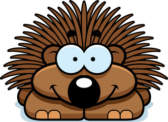 Smiling Little Porcupine