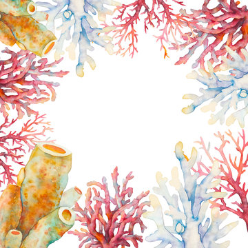 6 337 Best Coral Reef Watercolor Images Stock Photos Vectors Adobe Stock